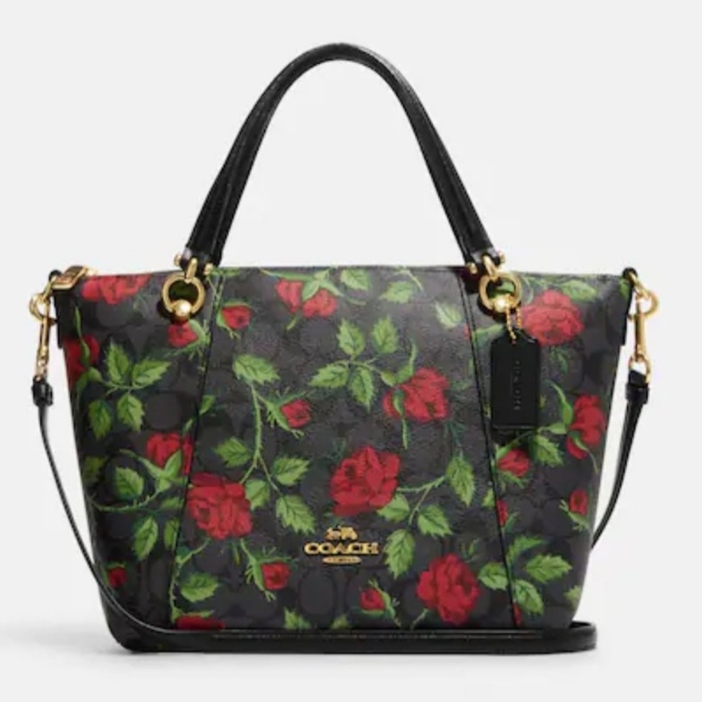 Coach Kacey Fairytale Satchel